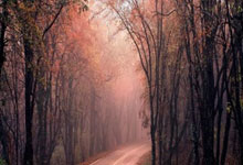 开云平台-世界网球队血洗意大利网球队，纳达尔打破历史纪录