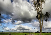 开云足球直播-跨界天王VS宇宙豪门！库里魔幻首秀掀翻诺坎普，技术统计暗藏玄机