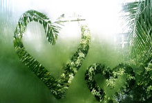 开云官方app入口-那不勒斯逆袭辉煌，C罗助攻成焦点——足球世界的震撼瞬间