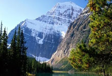 开云体育平台APP-TL强势WBG，Ruler三分雨点燃全场——电竞巅峰的豪华盛宴